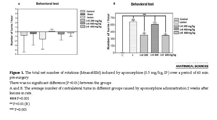 The Protective Effects Of Citrus Aurantium Extract On A 6 Hydroxydopamine Induced Model Of Parkinson S Disease In Male Rats Anatomical Sciences Journal